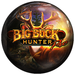 Big Buck Hunter Pro
